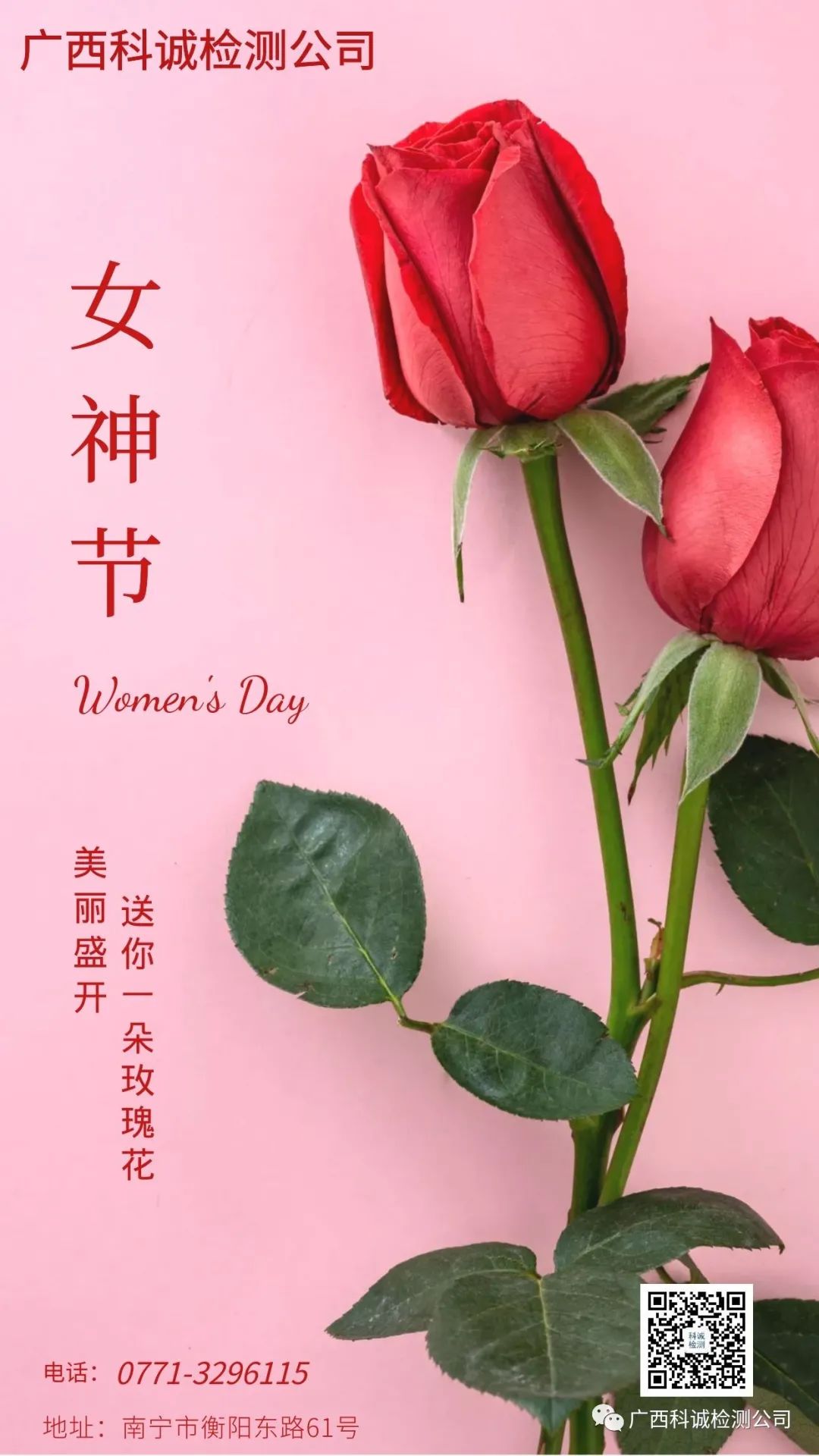 科诚祝各位女神们节日快乐